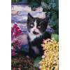 SCHMIDT 56005 Puzzle Kočička Mia, 100 dílků